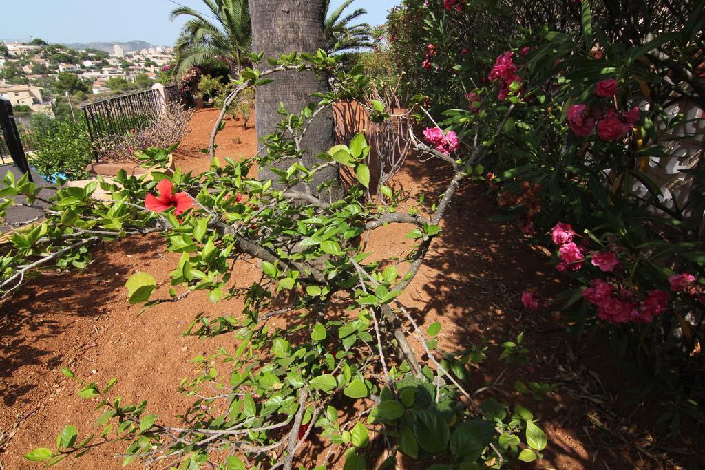 קלפה Maryvilla 231 מראה חיצוני תמונה